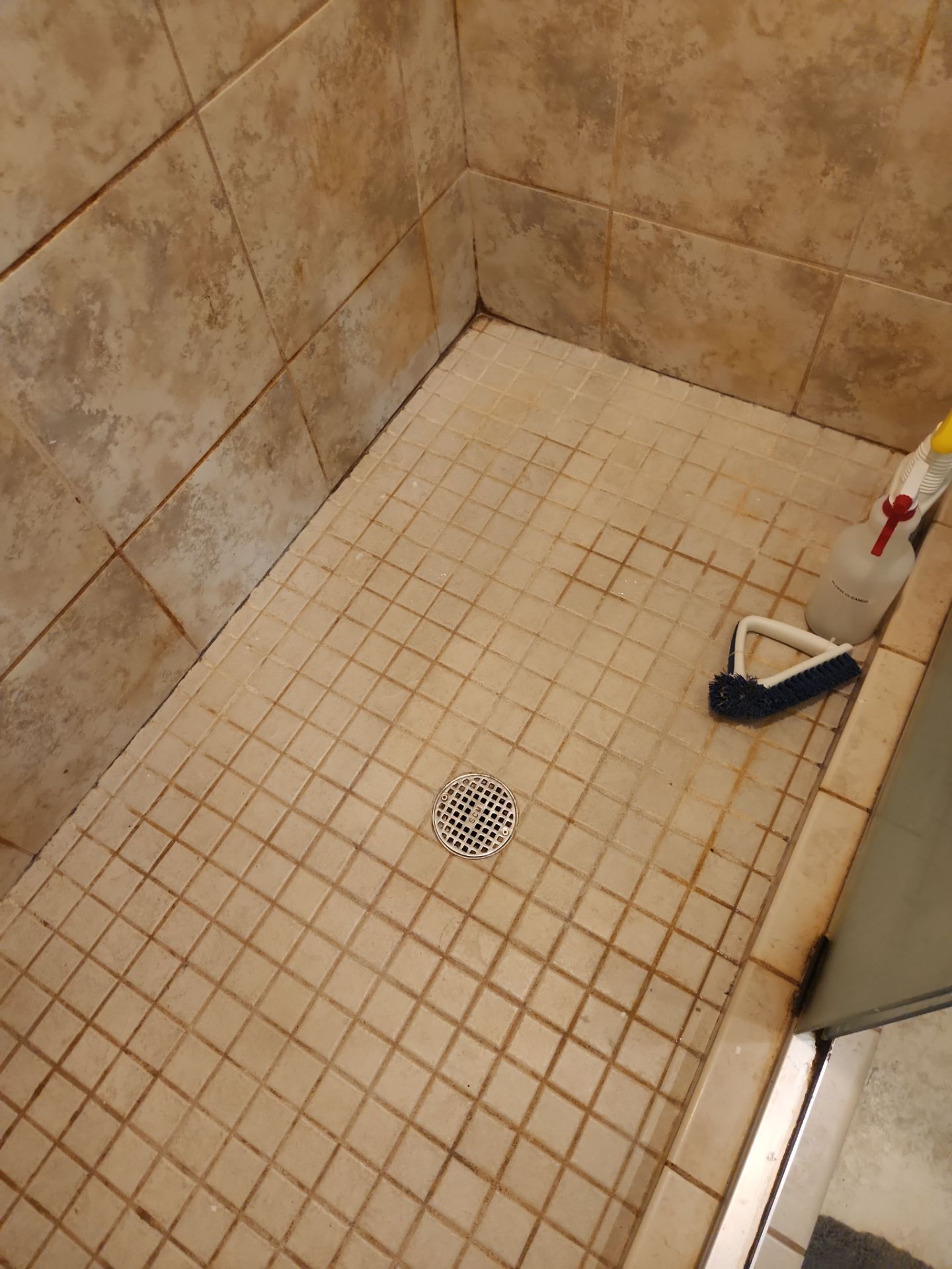 Restored Tile and Grout